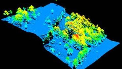 Desarrollan un software que genera mapas sobre la evoluci�n de los bosques
