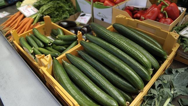 Alemania asocia las graves infecciones a la ingesta de pepinos españoles Alemania asocia las graves infecciones a la ingesta de pepinos españoles