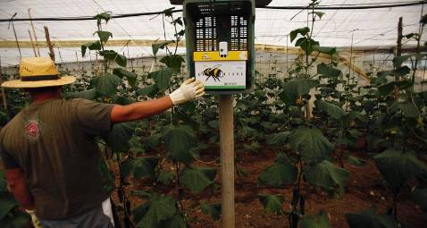 La busca del foco de contaminaci�n de los pepinos se ampl�a a Alemania
