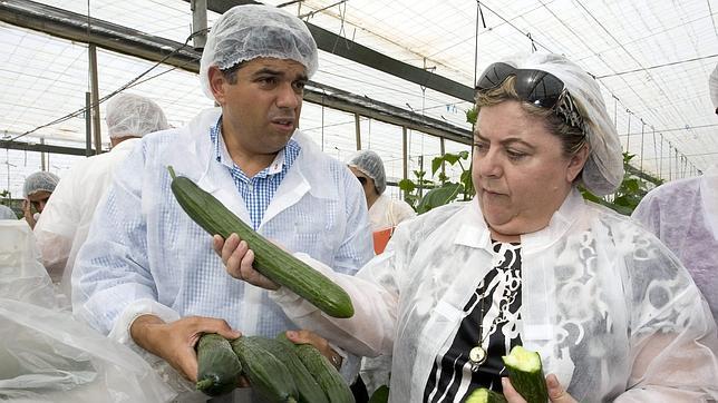 Una cadena alemana de distribuci�n alemana suspende en Espa�a la venta de pepinos