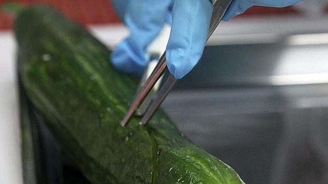 Suecia declara la primera muerte fuera de Alemania por los pepinos contaminados 