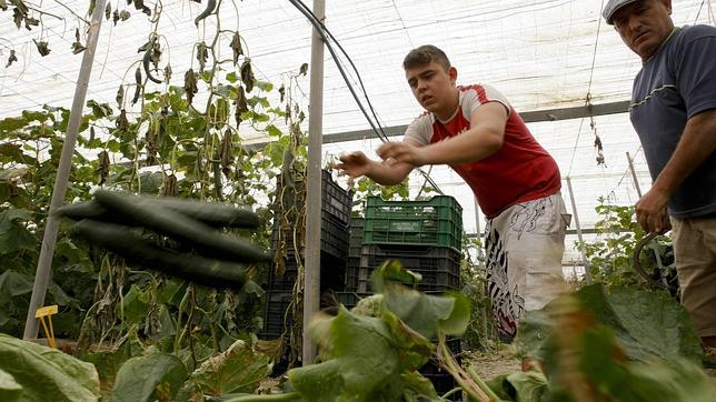 El da�o de imagen amenaza con la ruina a un sector con 300.000 empleos