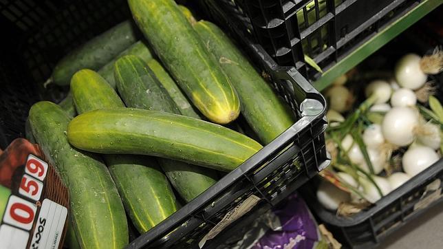 El Gobierno �no descarta� acciones legales contra Hamburgo por la crisis de los pepinos