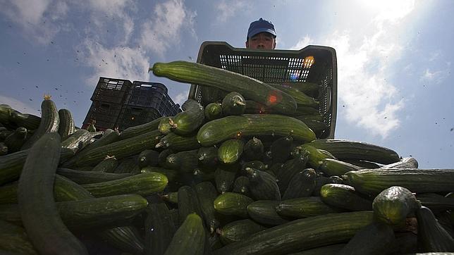 Ya son 17 las v�ctimas mortales del E.coli en Alemania