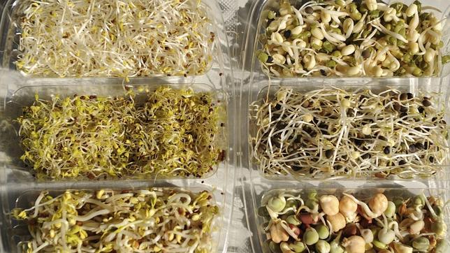 M�s de la mitad de las muestras de soja han dado negativo en �E. coli�