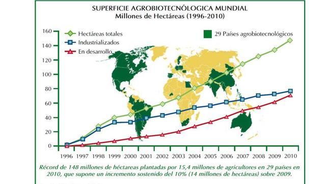 Arroz y trigo, dos de los alimentos b�sicos en el mundo, se cultivar�n con biotecnolog�a antes de 6 a�os 