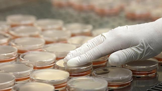 La UE aprueba los 210 millones de ayuda para los agricultores afectados por la �E. coli�
