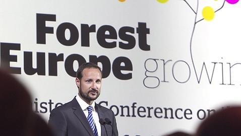 La superficie forestal europea creci� una media de 800.000 hect�reas anuales
