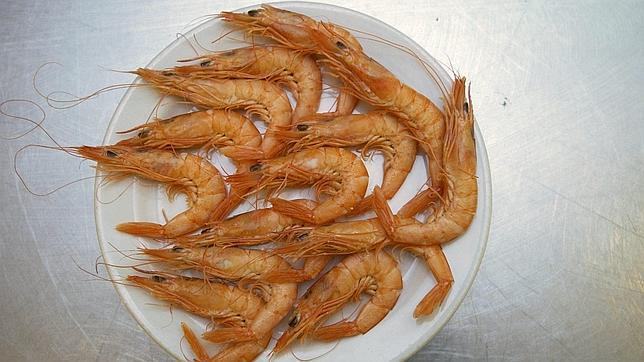 �Por qu� no debes chupar las cabezas de las gambas?