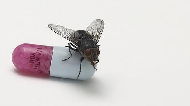 Damien Hirst diseña la portada del nuevo disco de Red Hot Chili Peppers Damien Hirst diseña la portada del nuevo disco de Red Hot Chili Peppers