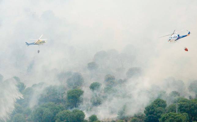 El primer incendio estival calcina 150 hect�reas en Villaviciosa