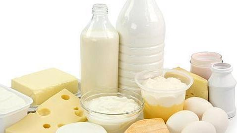 Alimentos con calcio