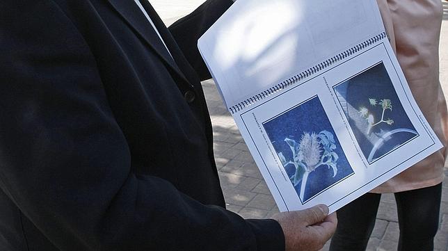 La autopsia de los jóvenes que murieron en la «rave» confirma que fue por un golpe de calor y no por tomar estramonio La autopsia de los jóvenes que murieron en la «rave» confirma que fue por un golpe de calor y no por tomar estramonio