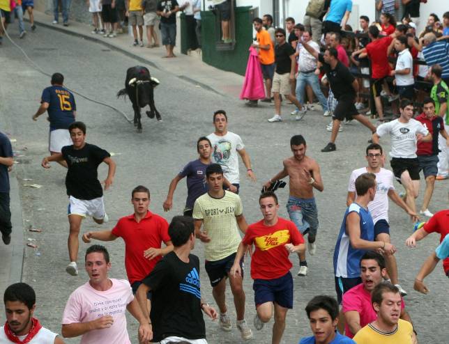 Toros con mucha cuerda