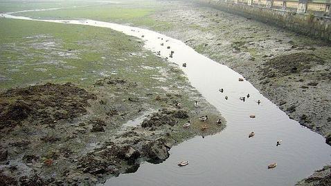 Un vertido de queroseno de más de 35.000 litros afecta a la ría de O Burgo Un vertido de queroseno de más de 35.000 litros afecta a la ría de O Burgo