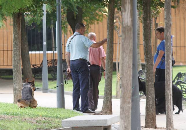 Guerra al excremento canino