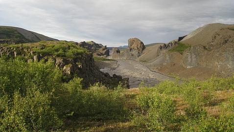 Bosques: �rboles extraordinarios