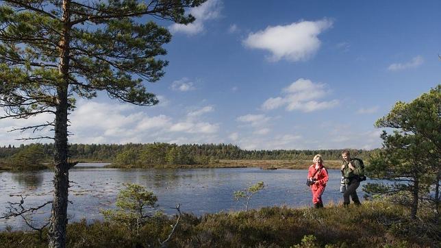 El país con wifi gratuito en bosques y gasolineras El país con wifi gratuito en bosques y gasolineras
