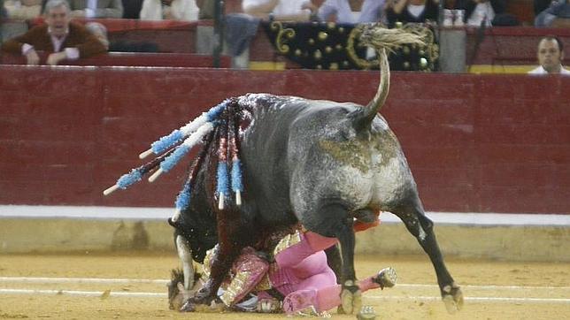 �Sab�a que pod�a cogerme, pero ese toro no me retira de los ruedos�