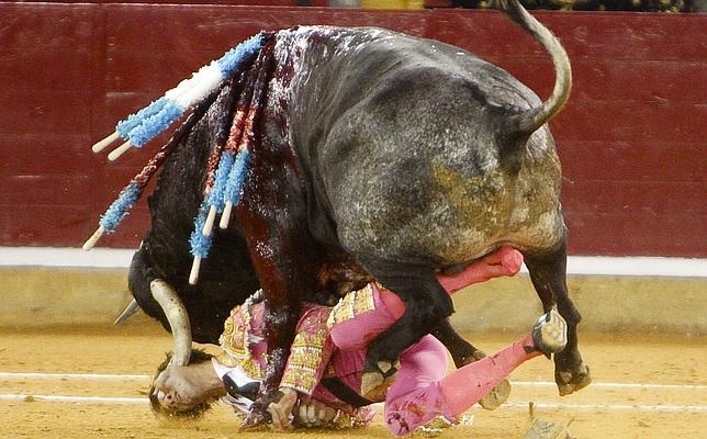 «La cornada fue hecha como con un bisturí» «La cornada fue hecha como con un bisturí»