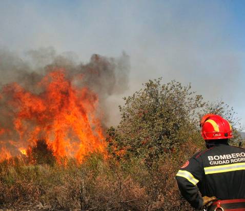 El incendio de los Ancares arrasa 160 hectreas de matorral y arbolado