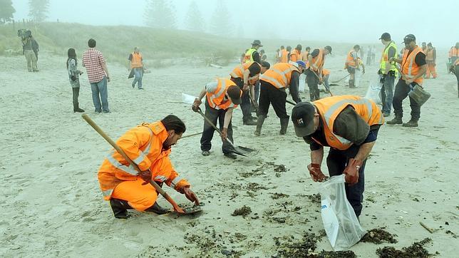 El vertido del �Rena� ya es el peor desastre ambiental de Nueva Zelanda