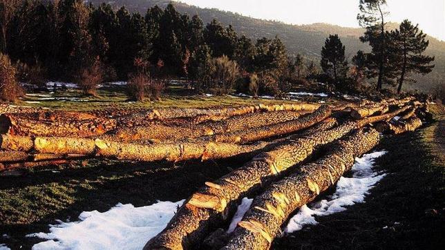 Ecosistemas al límite de su capacidad Ecosistemas al límite de su capacidad