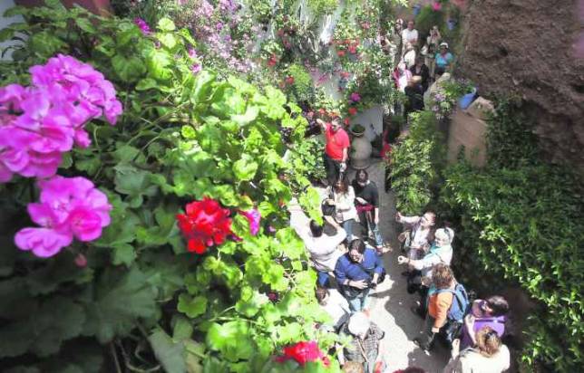 La Junta da por hecho que los Patios ser�n declarados Patrimonio mundial