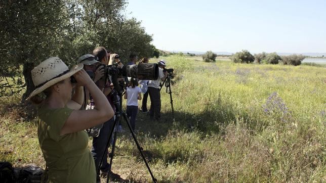España llega a los 45 millones de turistas extranjeros hasta septiembre, un 8% más España llega a los 45 millones de turistas extranjeros hasta septiembre, un 8% más