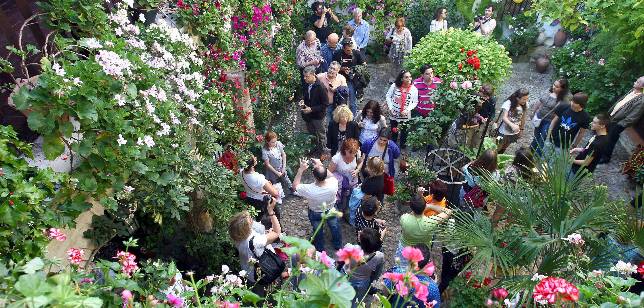 Los suspensos de los Patios