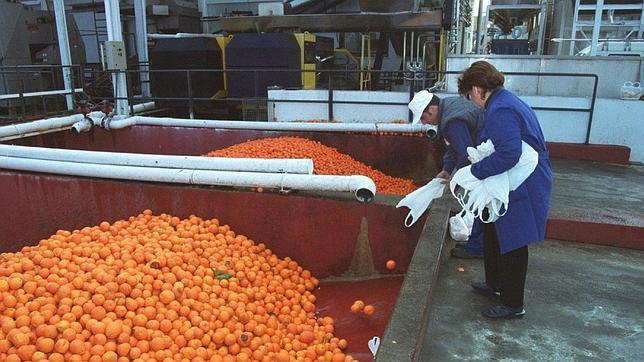 Instalaciones de la f�brica Naransur en Palma del R�o