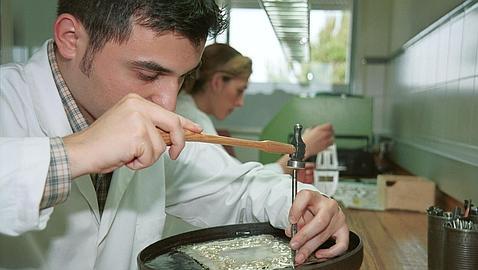 La CEOE propone recuperar al aprendiz que cobre por debajo del salario m�nimo