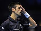 En directo: Ferrer-Djokovic En directo: Ferrer-Djokovic