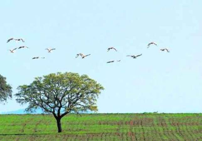 Asaja exige a la Junta que pague este mes los atrasos de la ZEPA