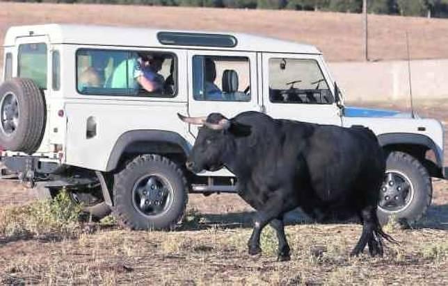Un negocio más allá del albero Un negocio más allá del albero