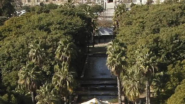 Vista area de los rboles del Prado