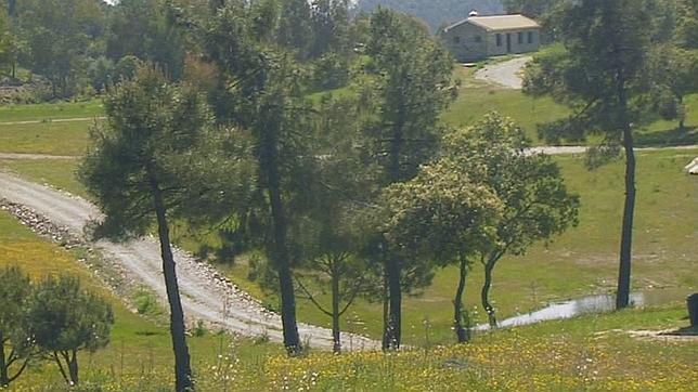 Beralt culpa a la Junta de frenar el proyecto sobre el wolframio