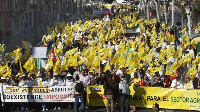 Los agricultores andaluces durante la manifestacin a su paso por la Resolana