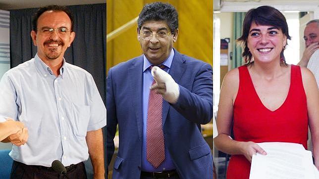 Rafael Rodr�guez, Diego Valderas y Elena Cort�s, los representates de IU que ocupar�n consejer�as en la Junta