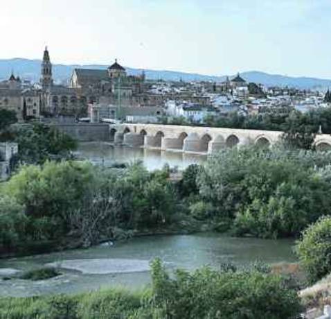 El C4 y la recuperacin de los Sotos y los molinos, bazas para un ro ms atractivo