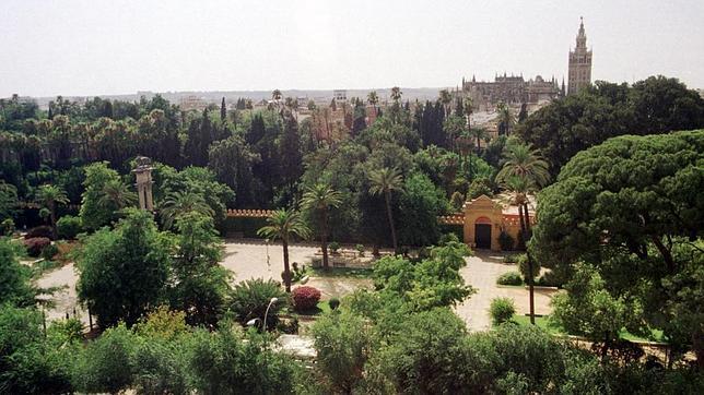 Vista general de los Jardines de Murillo