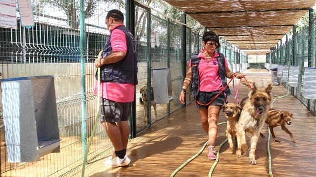 Los cuidadores del centro Fundaci�n Benjam�n Mehnert atienden a animales abandonados