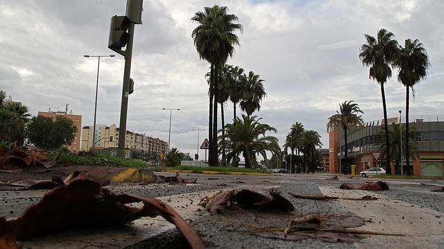 El viento y la lluvia ha dejado numerosas incidencias durante toda la jornada en Sevilla. En la imagen, Montequinto
