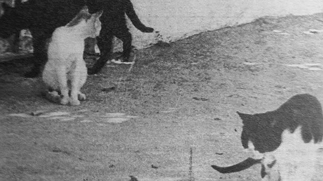 Algunos de los herederos de la finca