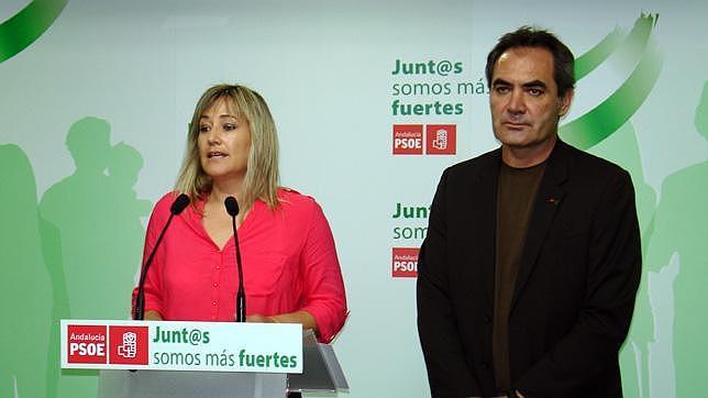 Esperanza P�rez, portavoz del PSOE en Diputaci�n