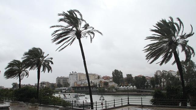Fuerte viento en Sevilla este mircoles 