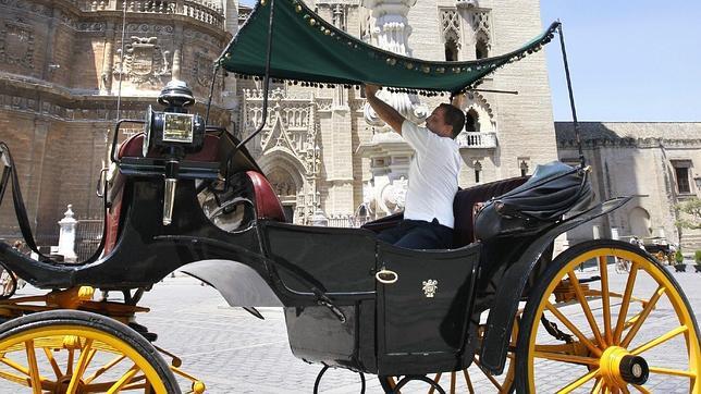 Un tradicional coche de caballos del servicio p�blico de Sevilla, a los pies de la Giralda