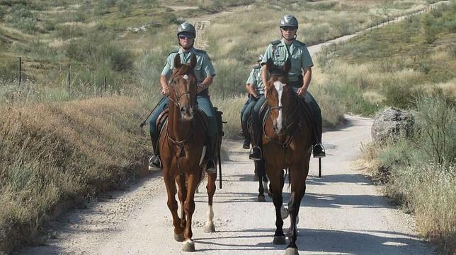 La Guardia Civil patrulla a caballo por los olivares de Ja�n