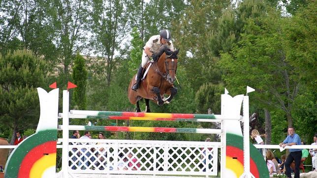 El Ministerio de Defensa subastará 24 caballos, 4 de ellos pura sangre inglés El Ministerio de Defensa subastará 24 caballos, 4 de ellos pura sangre inglés