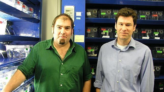 Jos� Luis G�mez-Skarmeta y Fernando Casares, en el Centro Andaluz de Biolog�a del Desarrollo